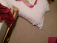 wp_20151223_008.jpg